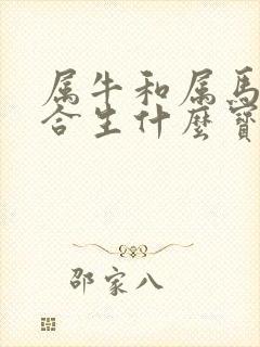 属牛和属马的适合生什么宝宝