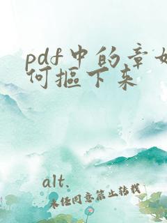 pdf中的章如何抠下来
