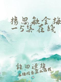 杨思敏金梅瓶1一5集在线