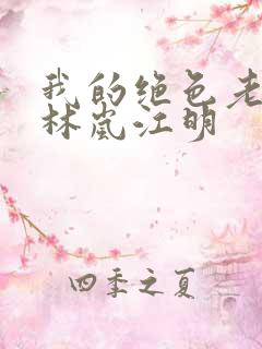 我的绝色老板娘林岚江明