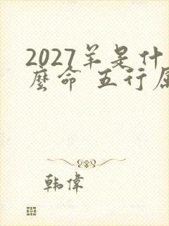 2027羊是什么命 五行属什么
