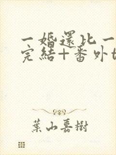 一婚还比一婚高完结+番外txt