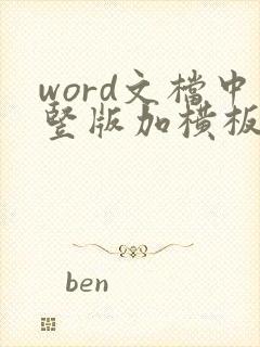 word文档中竖版加横板页