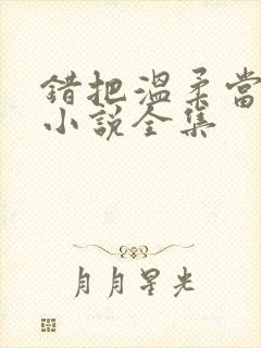 错把温柔当情深小说全集