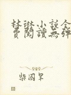 林琳小说全文免费阅读无弹窗