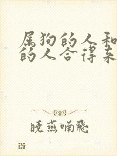 属狗的人和属牛的人合得来吗