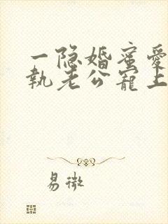 一隐婚蜜爱:偏执老公宠上瘾