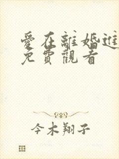 爱在离婚进行时免费观看