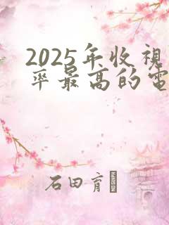 2025年收视率最高的电视剧