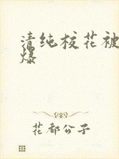 清纯校花被人操爆