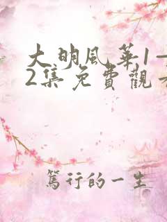 大明风华1—62集免费观看在线播放