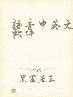 语音中英文翻译软件
