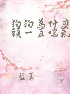 狗狗为什么吐舌头一直喘气