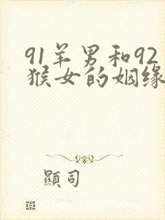 91羊男和92猴女的姻缘怎么样
