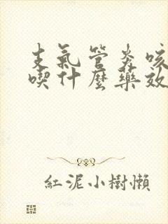 支气管炎咳黄痰吃什么药效果好
