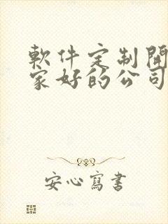 软件定制开发哪家好的公司