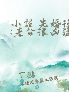小说 先婚后爱:老公很凶猛