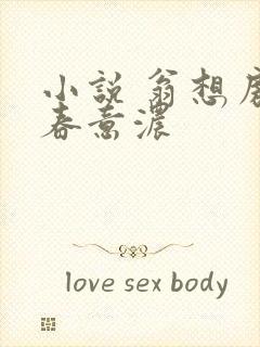 小说 翁想房中春意浓