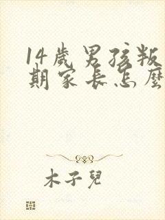 14岁男孩叛逆期家长怎么办