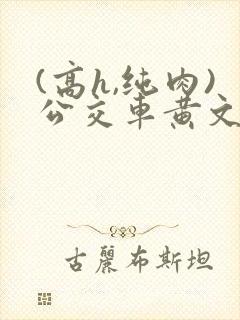 (高h,纯肉)公交车黄文