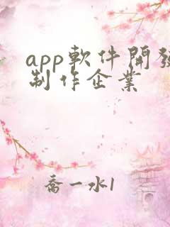 app软件开发制作企业