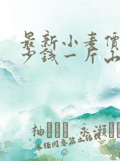 最新小麦价格多少钱一斤山东