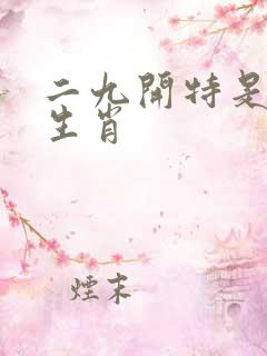 二九开特是什么生肖
