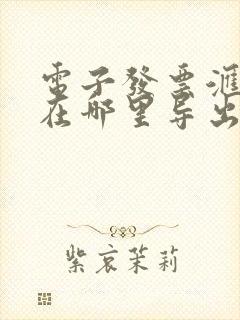 电子发票汇总表在哪里导出