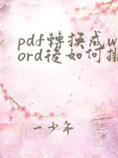 pdf转换成word后如何排版