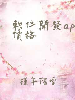 软件开发app价格