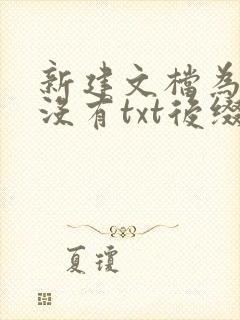 新建文档为什么没有txt后缀