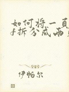 如何将一页pdf拆分成两页