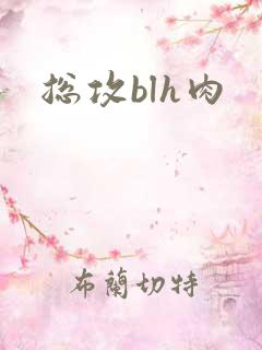 总攻blh肉