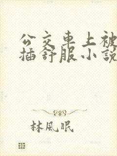 公交车上被摸被插舒服小说