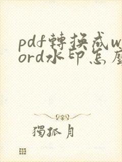 pdf转换成word水印怎么去掉