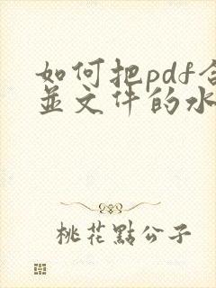 如何把pdf合并文件的水印去除