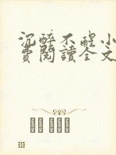 沉醉不醒小说免费阅读全文无弹窗