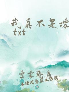 我真不是坏男人 txt