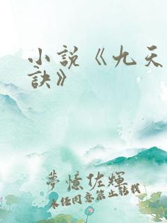 小说《九天斩神诀》