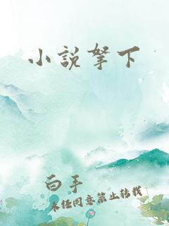 小说拿下