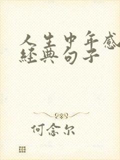 人生中年感悟的经典句子