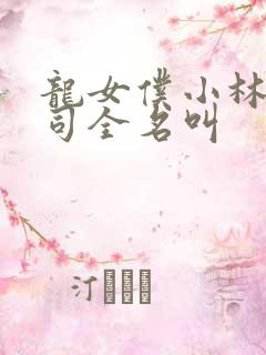 龙女仆小林的公司全名叫