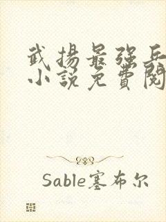 武扬最强兵王 小说免费阅读