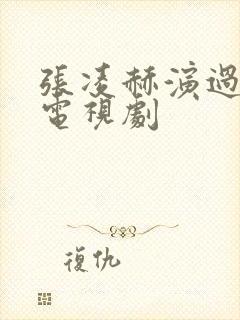 张凌赫演过什么电视剧