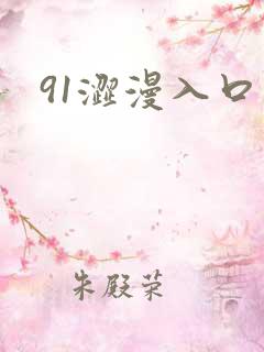 91涩漫入口