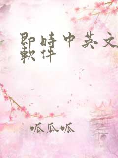 即时中英文翻译软件