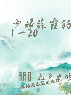 少妇苏霞的沉沦1一20