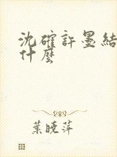 沈确许墨结局是什么