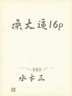 操大逼16p