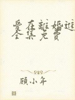爱在离婚进行时全集免费